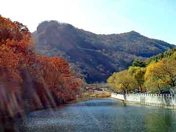 管家婆黑白马报图库，国珍松花